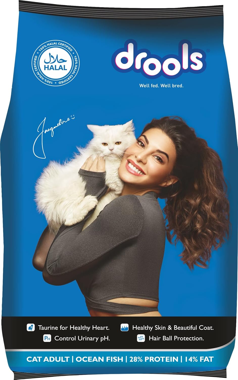 Drools Ocean Fish Adult Dry Cat Food, 1.2kg Amazon.in Pet Supplies