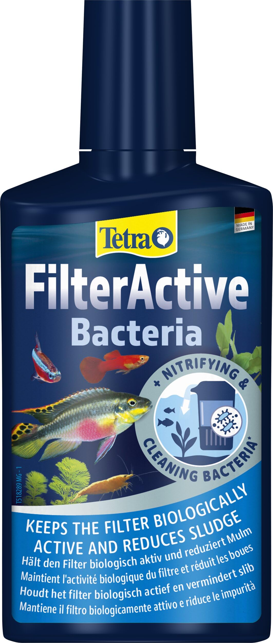 Tetra FilterActive 250 ml Contiene Batteri Vivi che Attivano il Filtro e che Riducono l'Accumulo di Impurità, Mantiene il Filtro Biologicamente Attivo