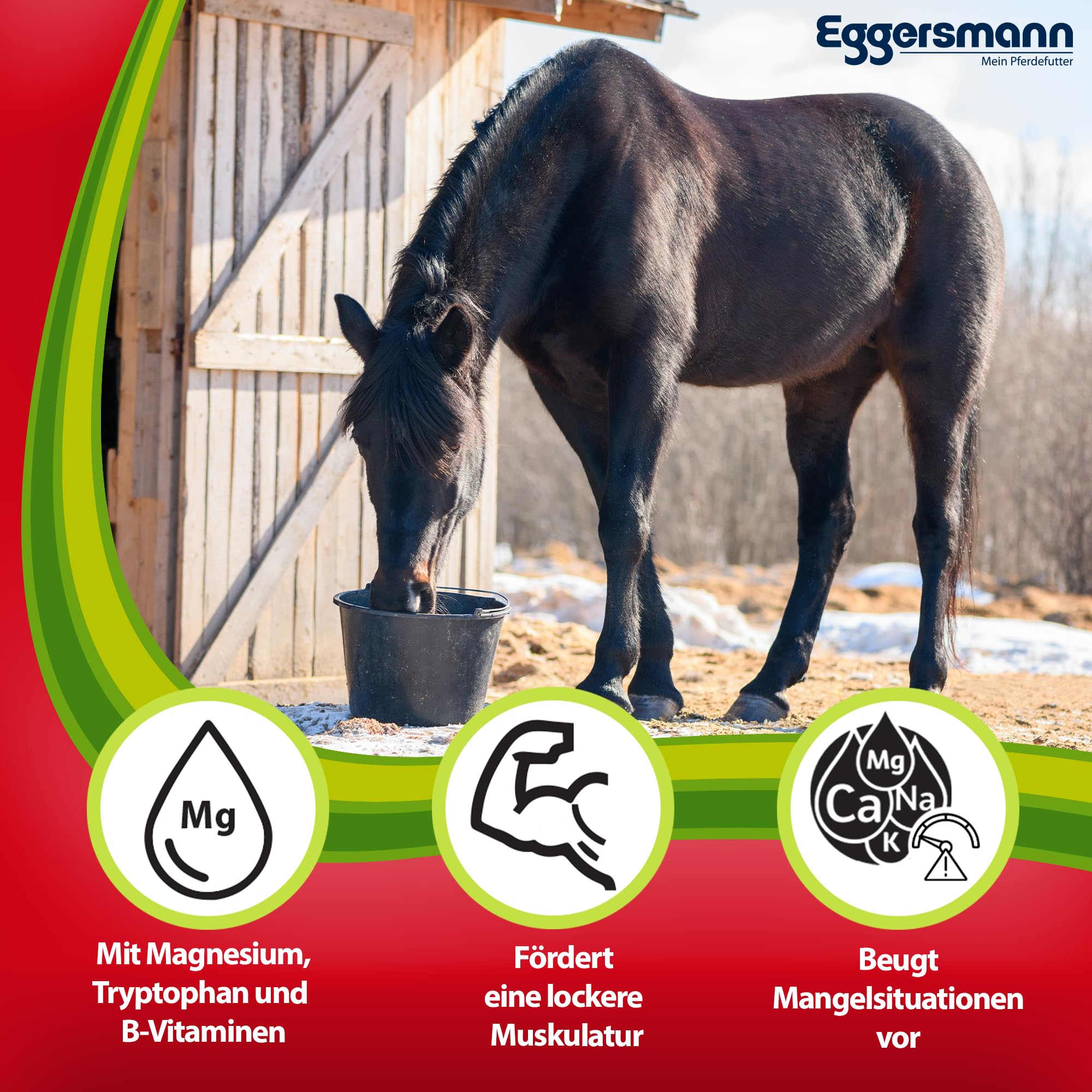 Eggersmann Profi Magnesium – pienso complementario para Caballos – para favorecer la Musculatura Suelta – Cubo de 4 kg