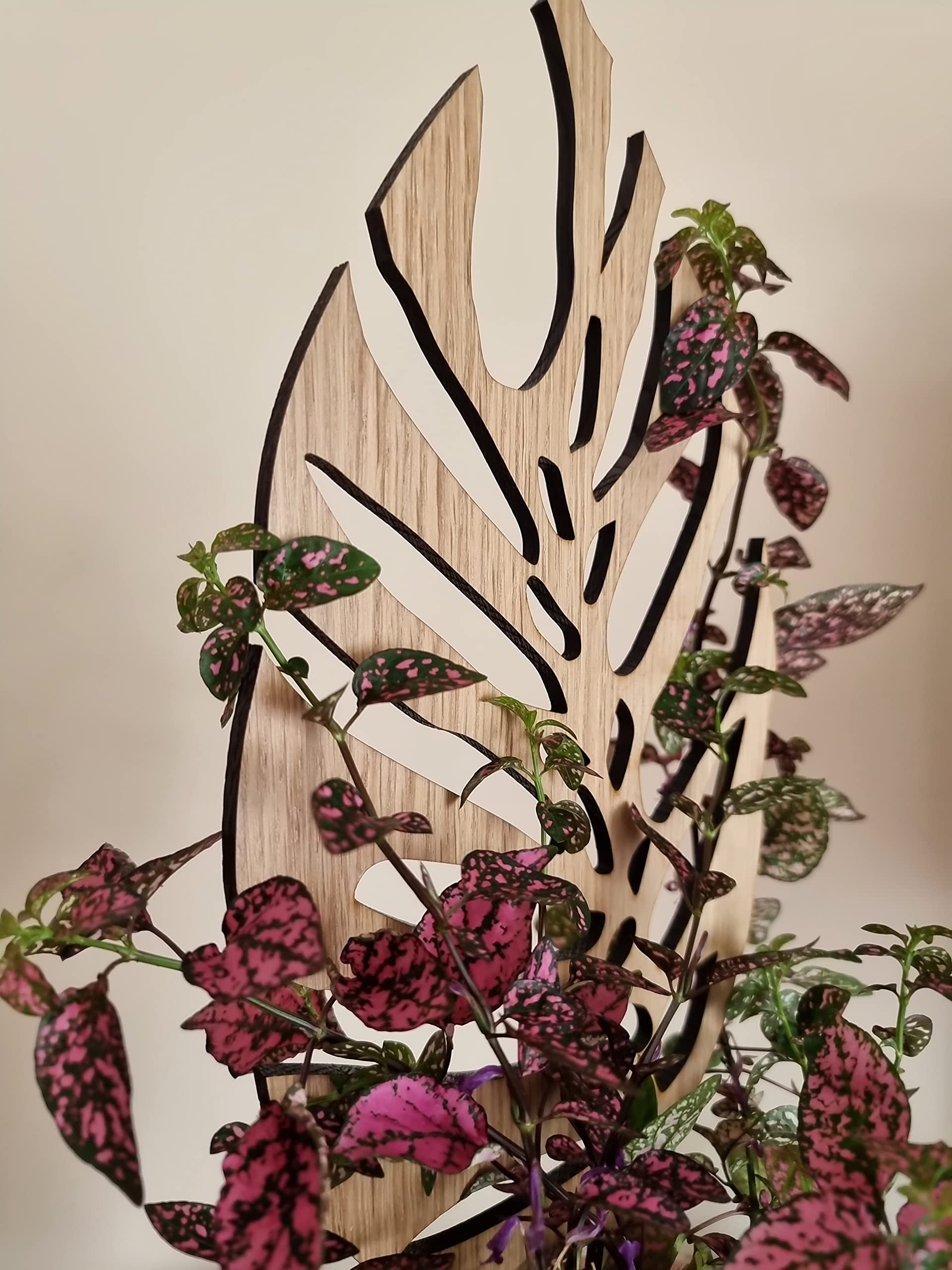 Woodream Monstera Pflanzenstütze aus Eichenholz 40 cm | Größe M | Natürliches Rankgitter - Blumengitter - Rankhilfe | Für Zimmerpflanzen | Innenraum Dekoration | Für Pflanzenliebhaber