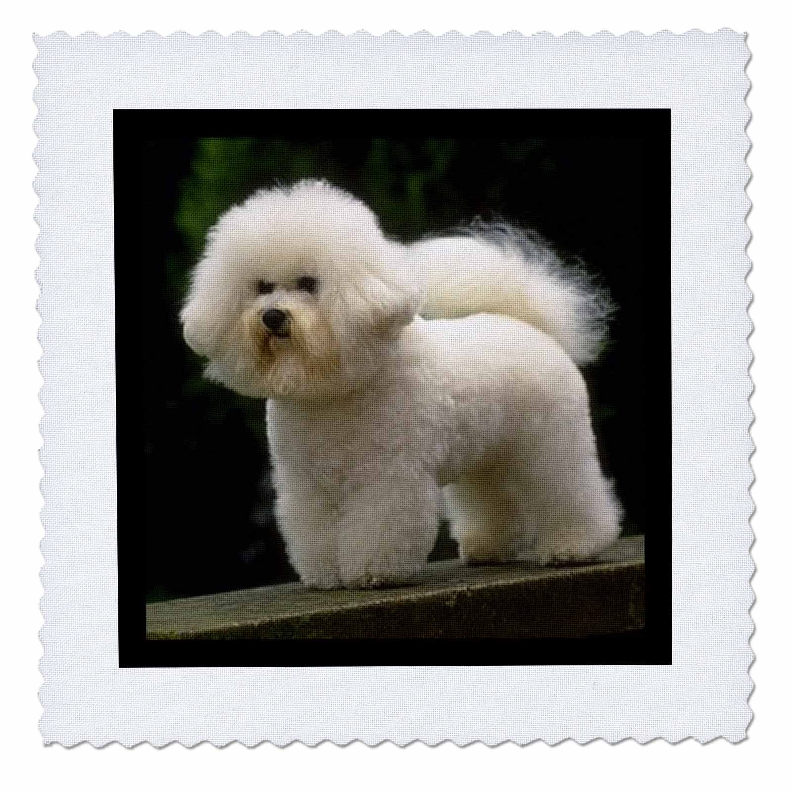 3dRose Quilt Square, Multicolor