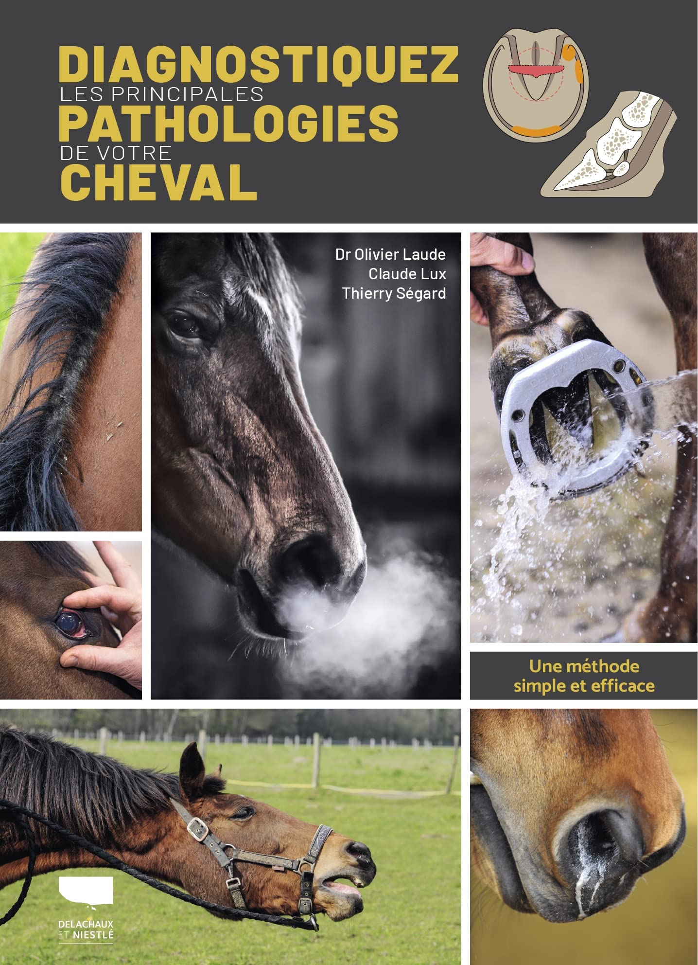 Diagnostiquer les principales pathologies de votre cheval: Une méthode simple et efficace