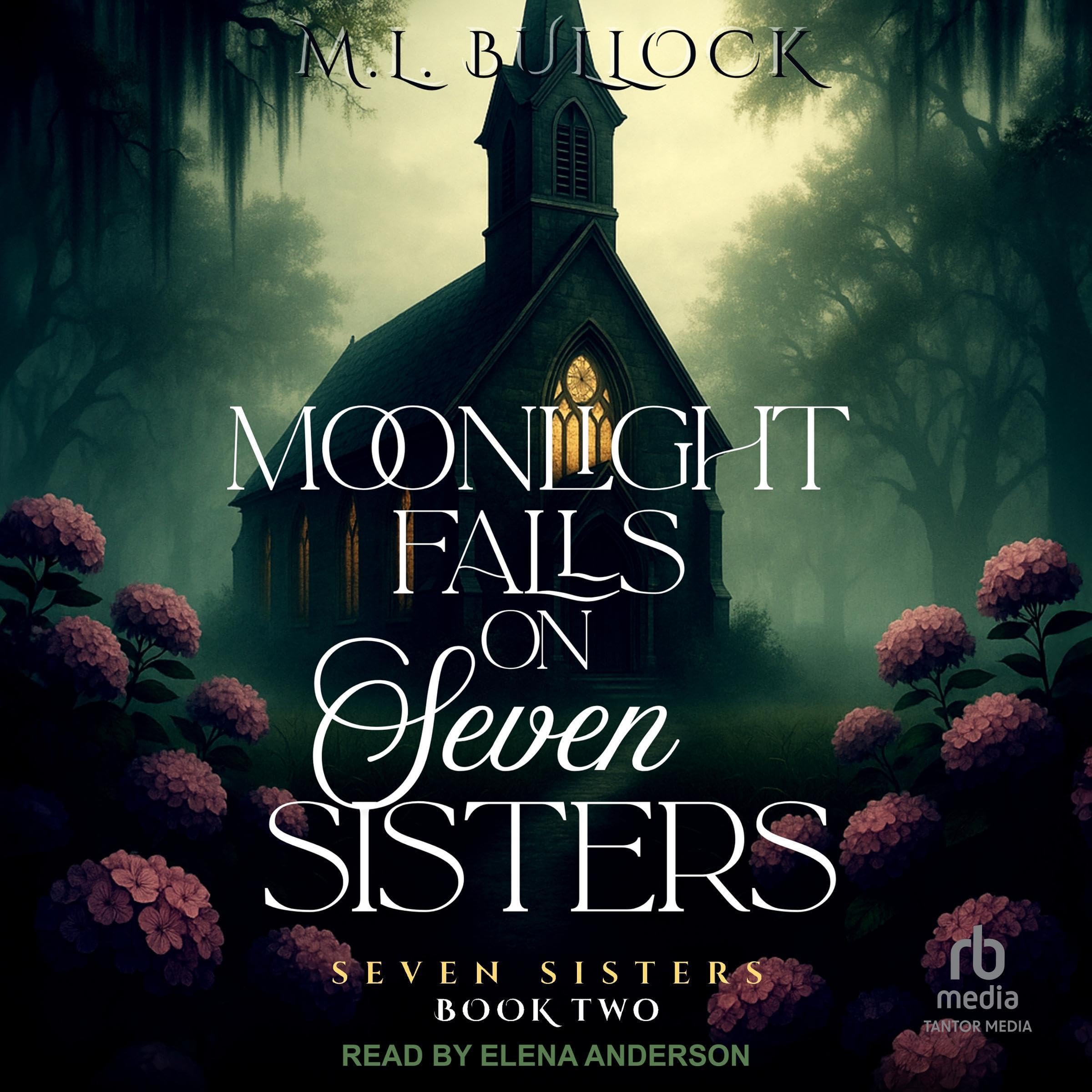 Cover art for Moonlight Falls on Seven Sisters
