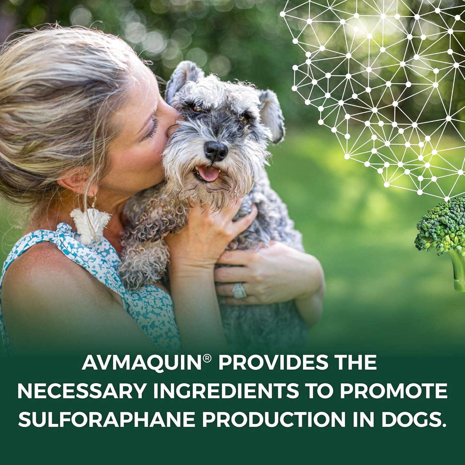 Nutramax Avmaquin Sulforaphane Producing Supplement for Dogs, 45 Tablets - Image 3