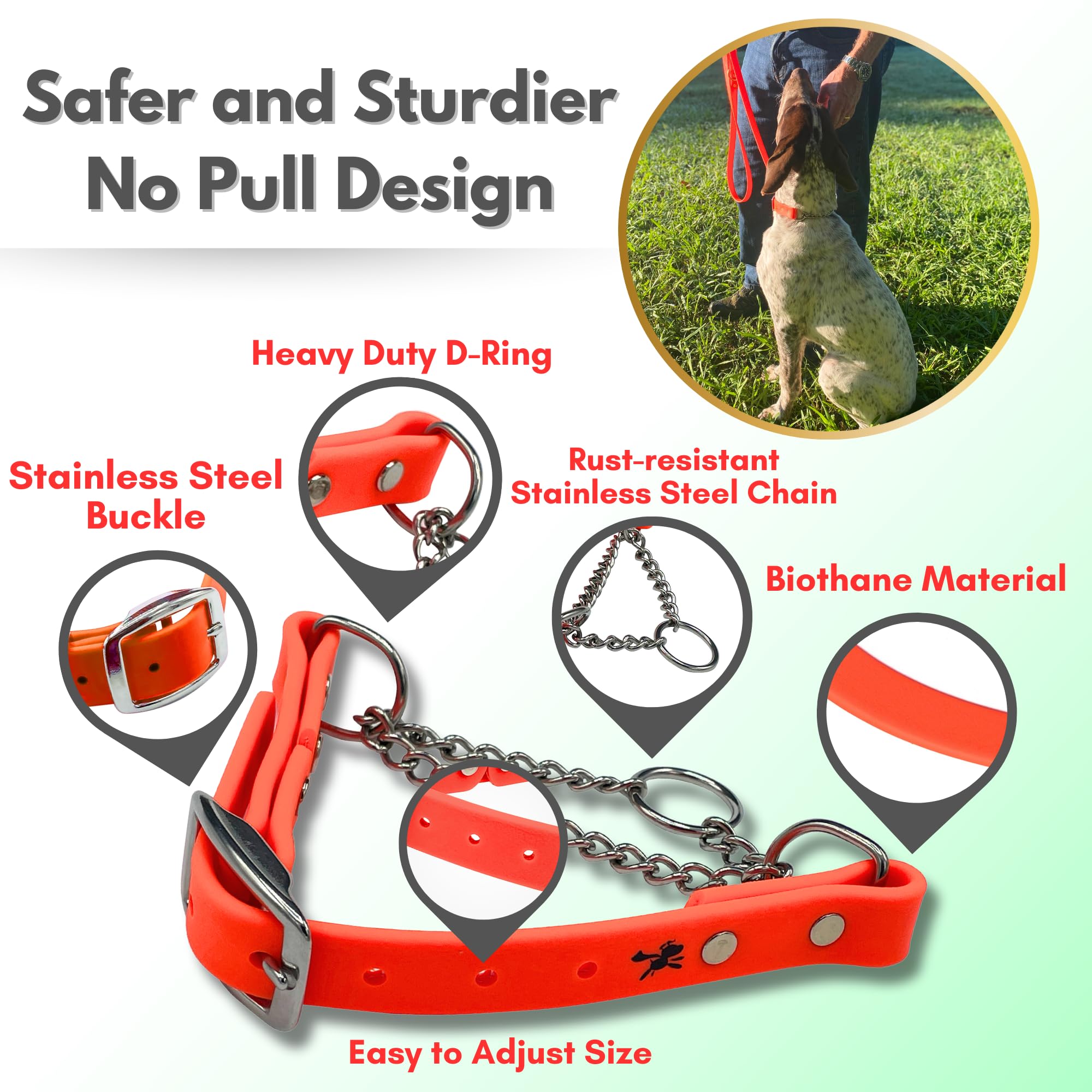 JIM HODGES DOG TRAINING Martingale Collar for Dogs Biothane, Stainless Steel Hardware, No Pull, Made in The USA - Image 4