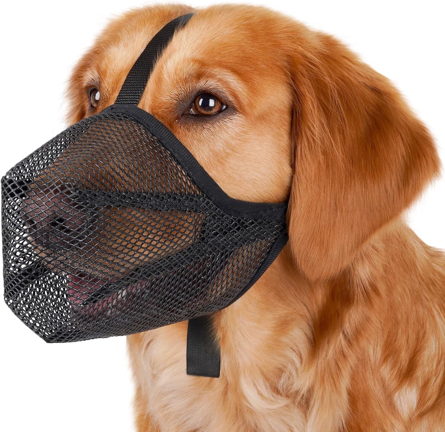 Mayerzon Breathable Mesh Dog Muzzle for Small Medium Large Breeds - Anti-Bite Scavenging, Adjustable for Grooming Walking Vet Visits Labrador Golden Retriever