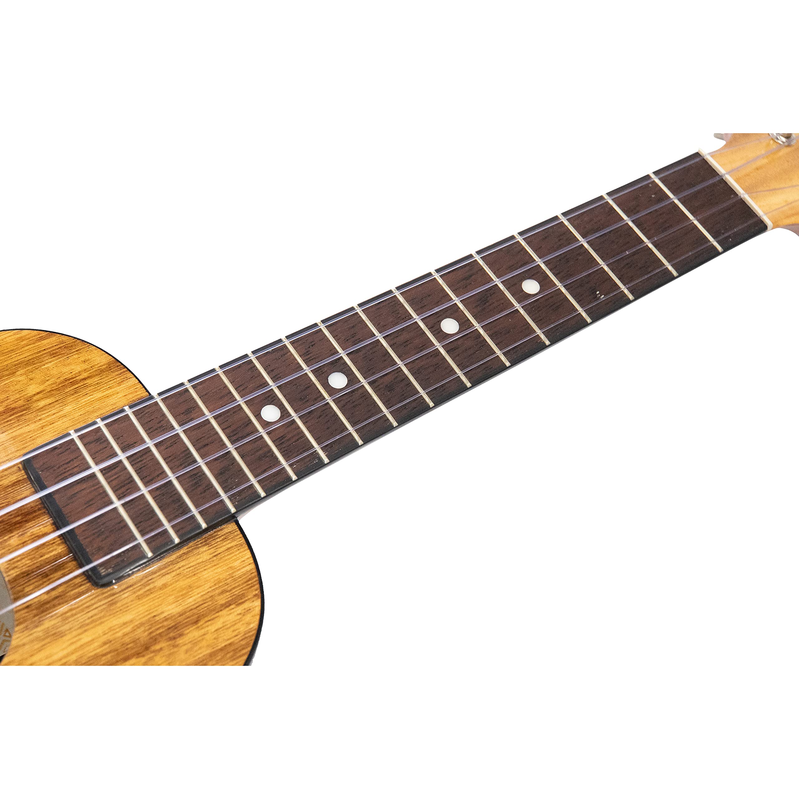 Amazon.co.jp: 【Koalana】 KCA-00TR コアラナ コンサートウクレレ