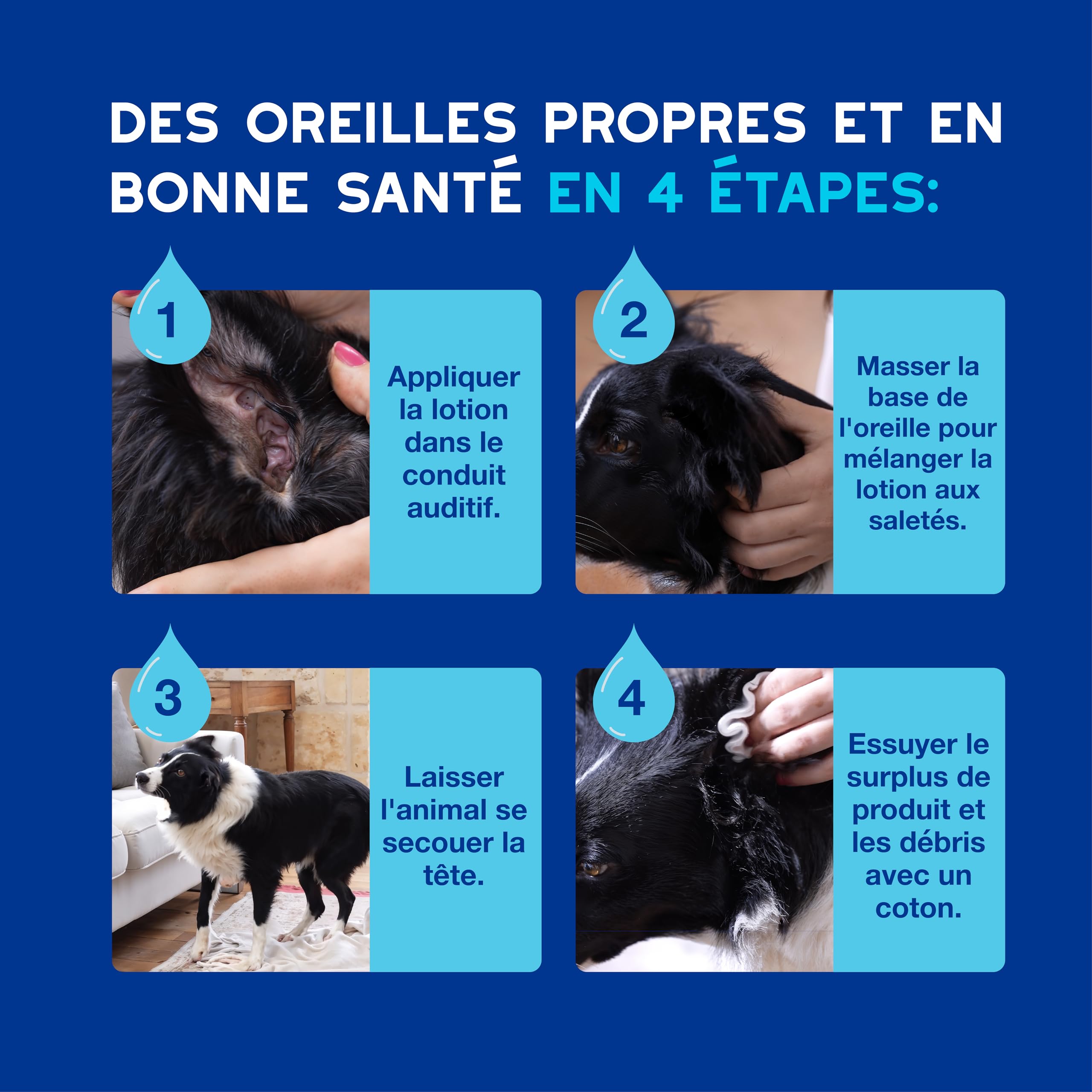 DOUXO Skin & Coat Spa - Ultra-Safe nettoyant auriculaire pour Chiens et Chats, 120 ML, nettoie l'oreille en Toute sécurité, Formule respectueuse de la Peau.