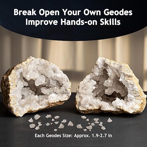 Miniatura 3 de Japace Kits de ciencia de la tierra para niños de 4 a 6 a 8 a 12 a 14 años, kit de excavación de piedras natales, kit de geología con romper tus