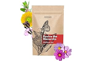 Monarch Butterfly Flower Seeds - 12000+ Seed Count