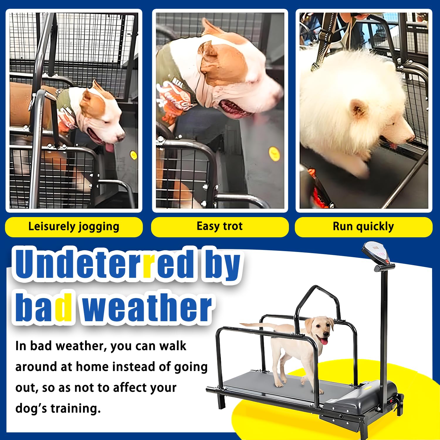 Fitness-Laufband für Haustiere, Hundelaufband, leiser Motor und einstellbare Geschwindigkeiten, mit Sicherheitszaun, Hundelaufband für große Hunde, Hundelaufband für mittelgroße Hunde