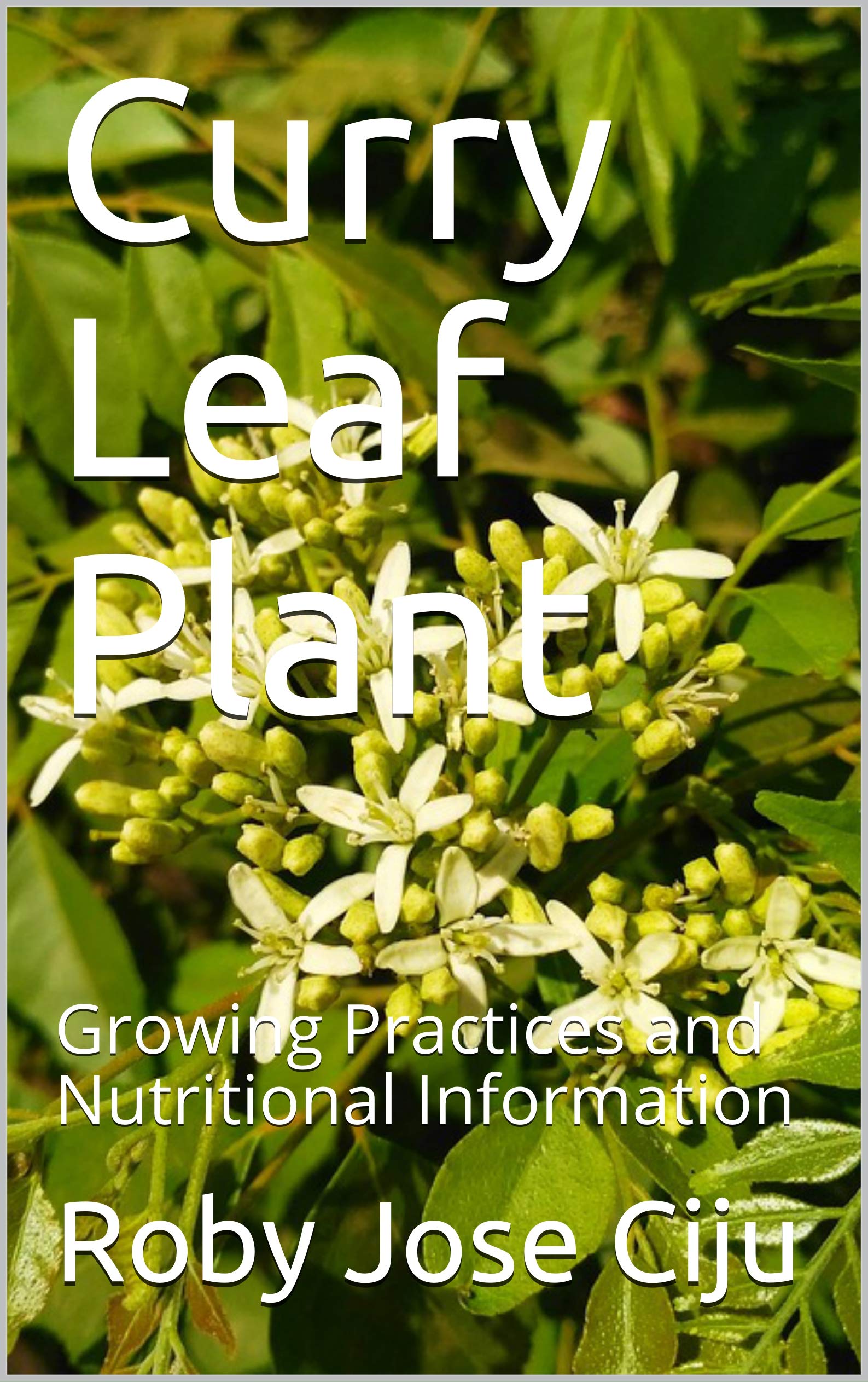 Curry Leaf Plant: Growing Practices and Nutritional Information (All About Spices and Condiments)