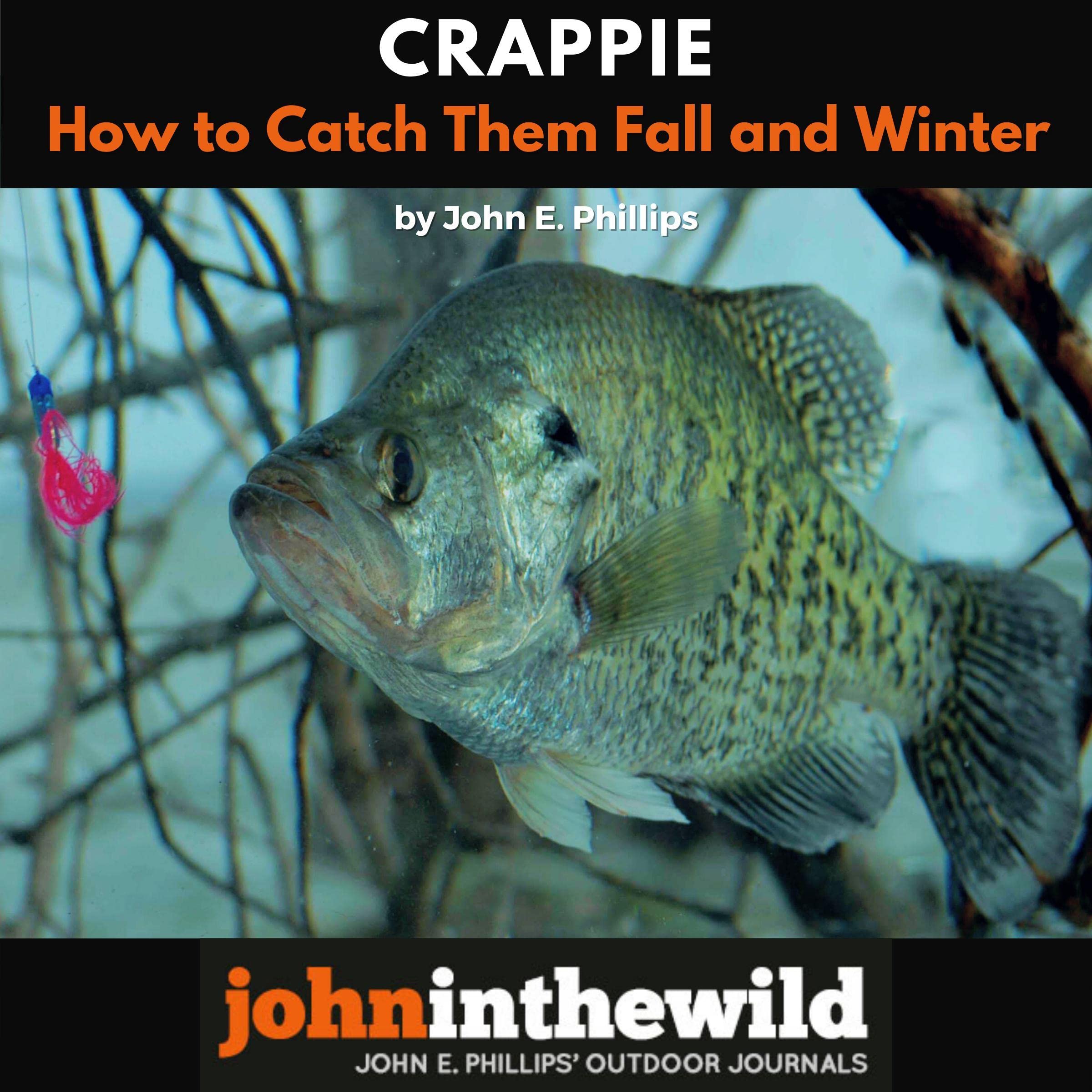 Crappie: How to Catch Them Fall & Winter