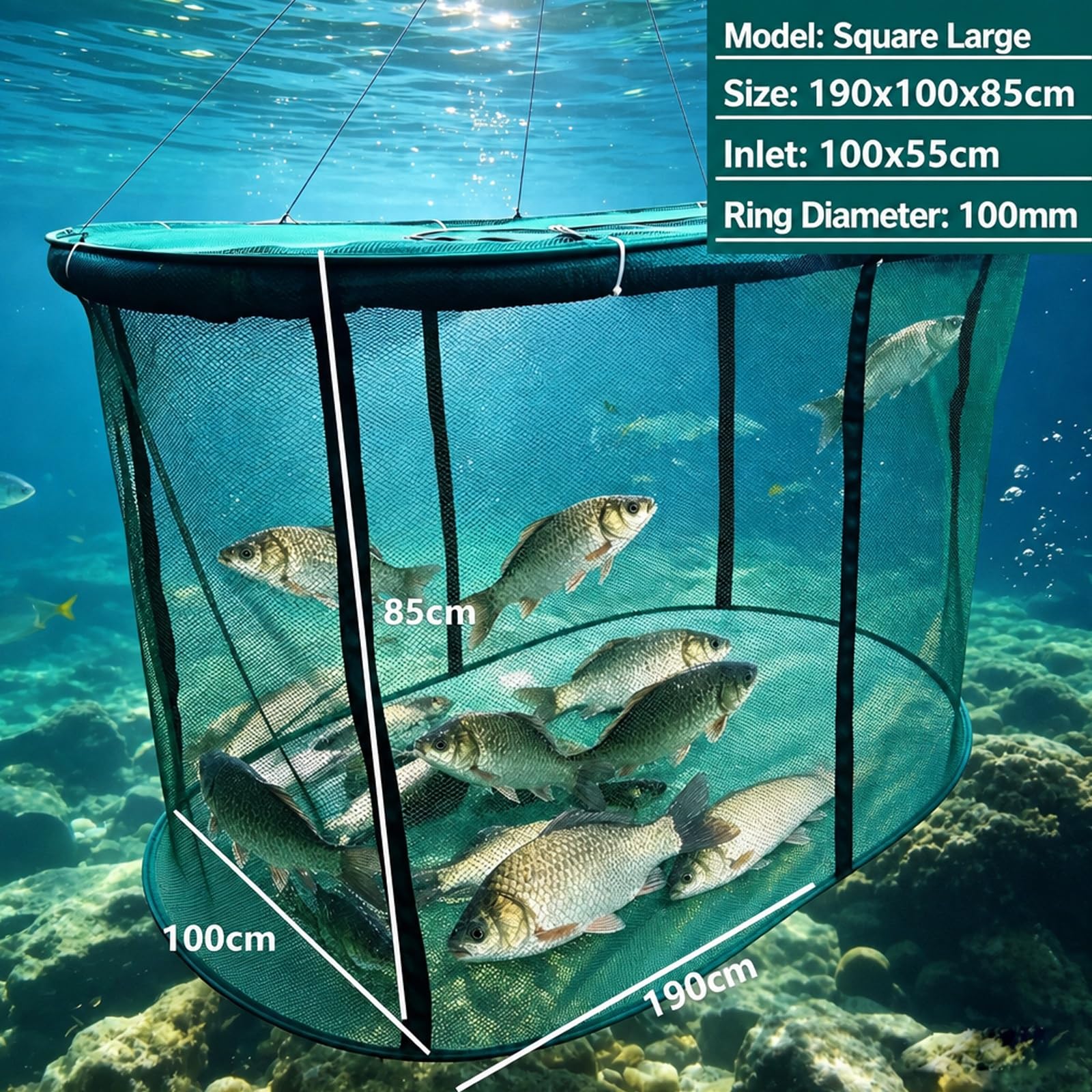 Jaulas de Red para acuicultura en estanques, Gran Resistencia | Flotantes y plegables, malla de 3 mm de grosor, ideales para la cría en estanques y la pesca deportiva