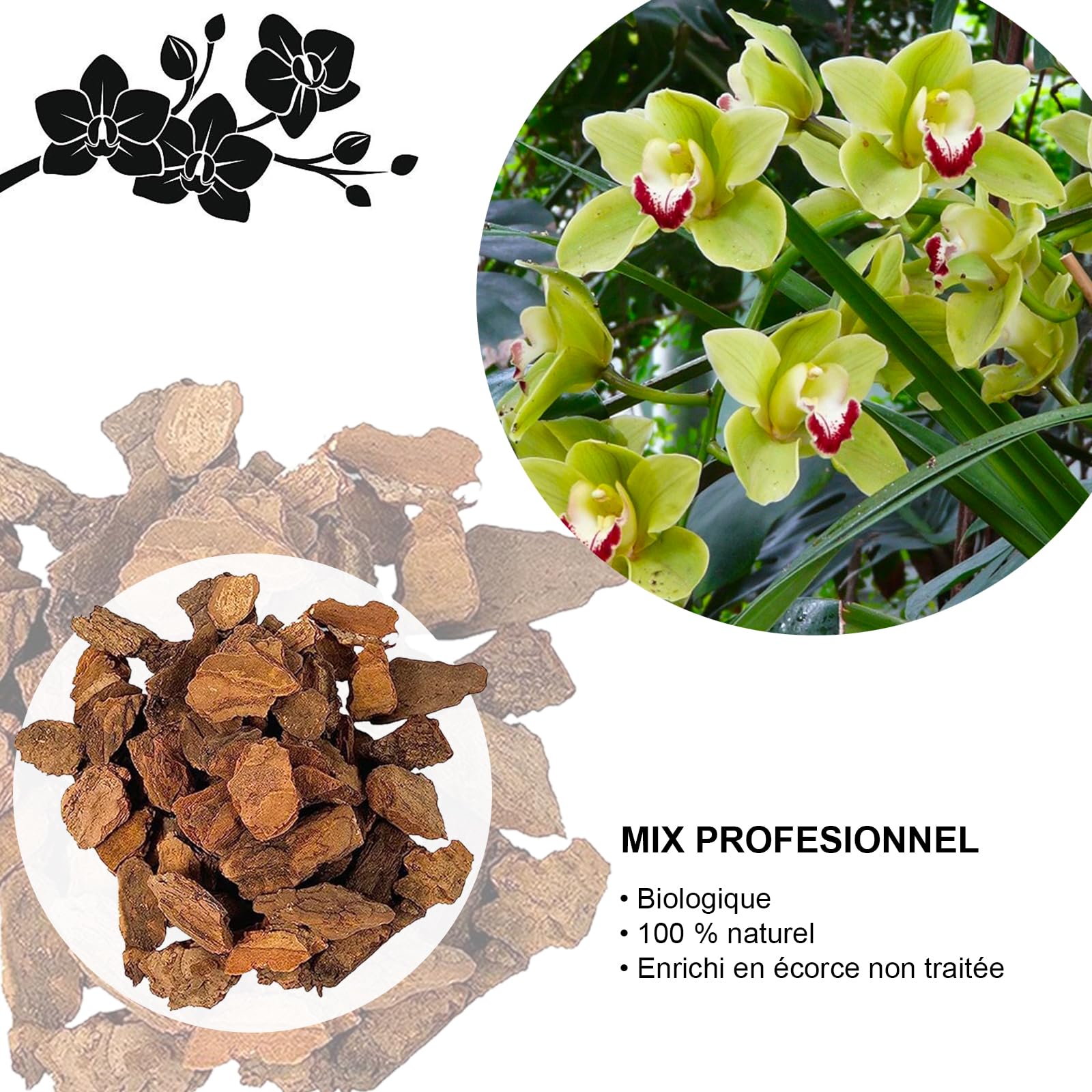 pearls and jade pothos vs njoy Pearls and Jade Pothos main image 0