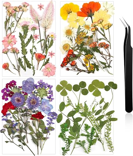 Flores prensadas de resina para molde de resina, hojas de flores secas de margaritas reales naturales con pinzas para álbumes de recortes,