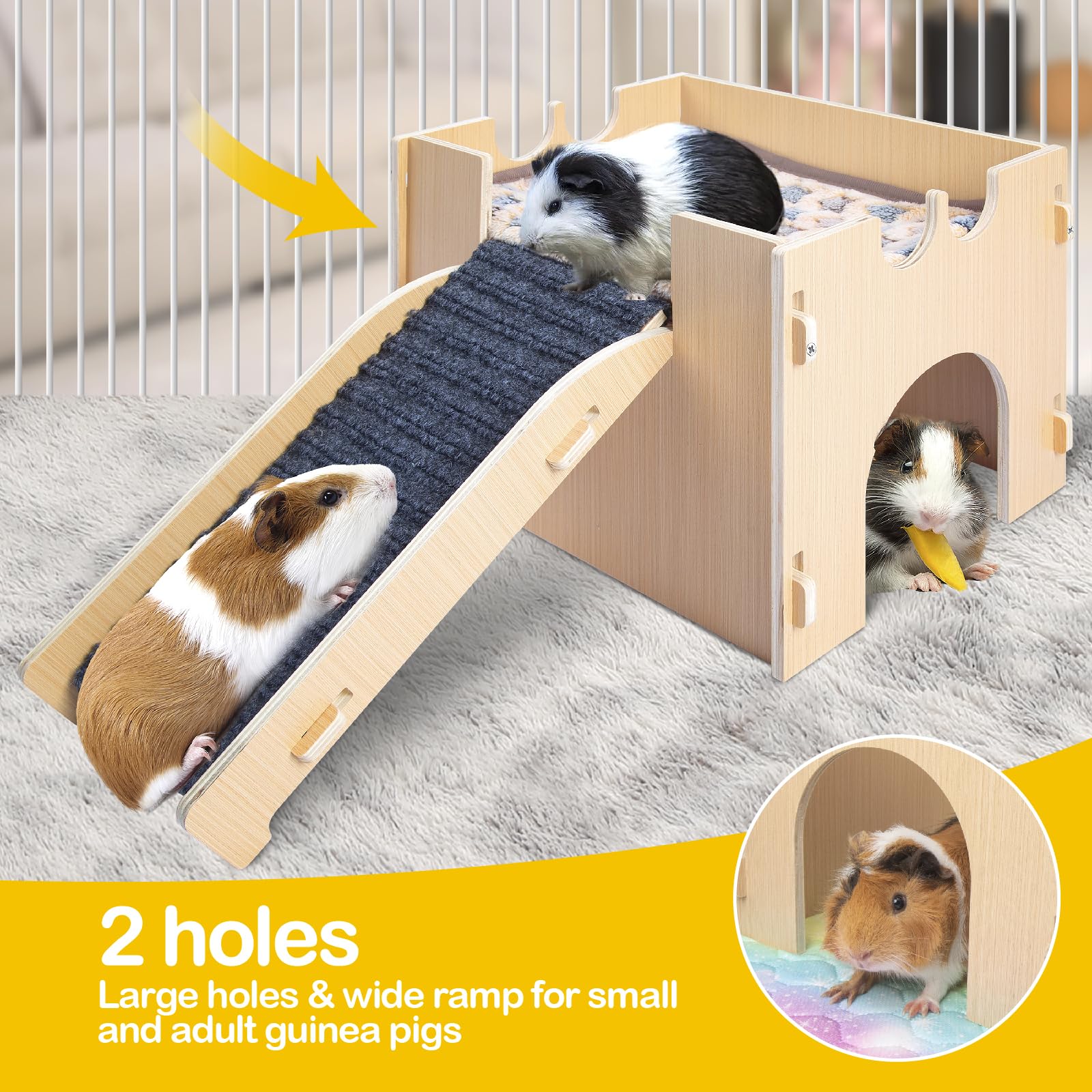 モルモット様 お取り置き 楽天市場】三晃商会 モルモット基本飼育セット シャトルマルチ