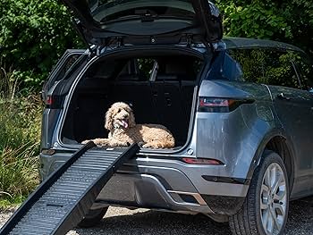 Folding Lightweight Plastic Non-Slip Portable Dog Pet Ramp