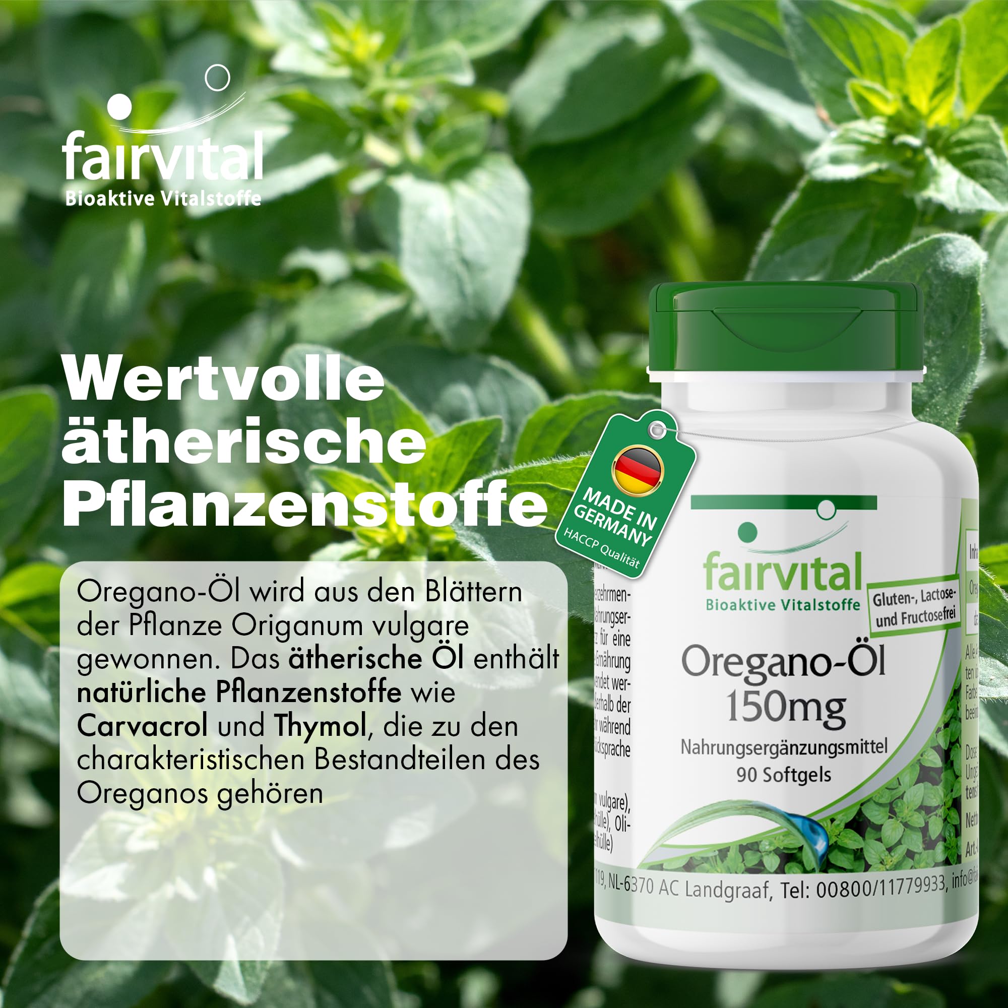 fairvital Oregano-Öl Kapseln 150mg, 90 Softgels, schluckfreundlich, HOCHDOSIERT, Oregano Oil 10:1 Extrakt, Origanum vulgare