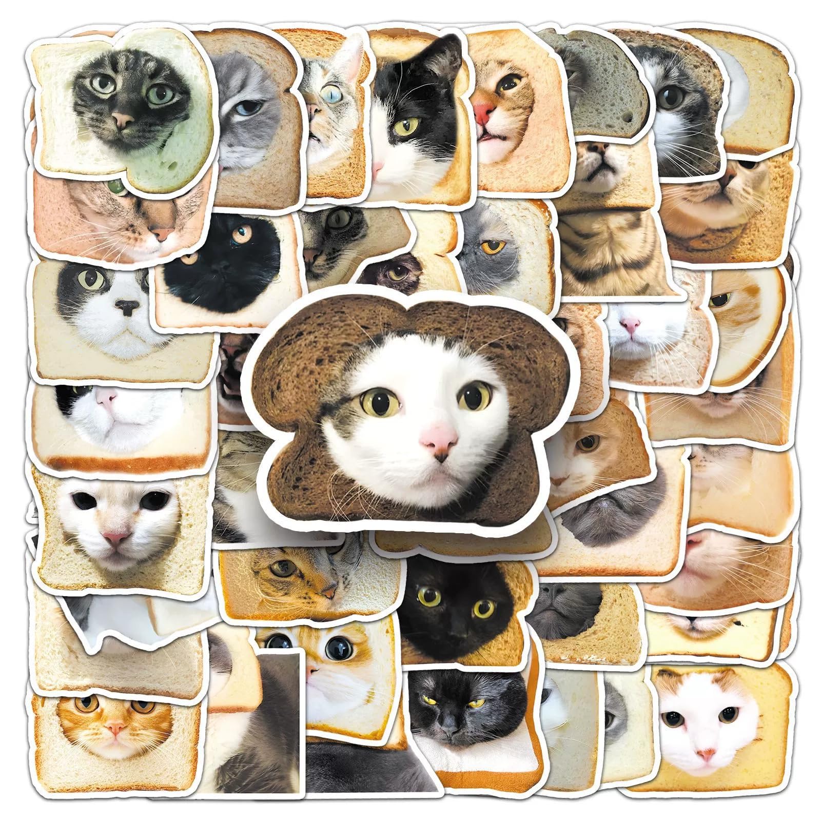 50 Stück Katze Aufkleber Pack Cat Sticker Set Wasserdichte Vinyl Sticker für Laptop Kinder Autos Motorrad Fahrrad Skateboard Gepäck Koffer Computer Aufkleber Graffiti Decal