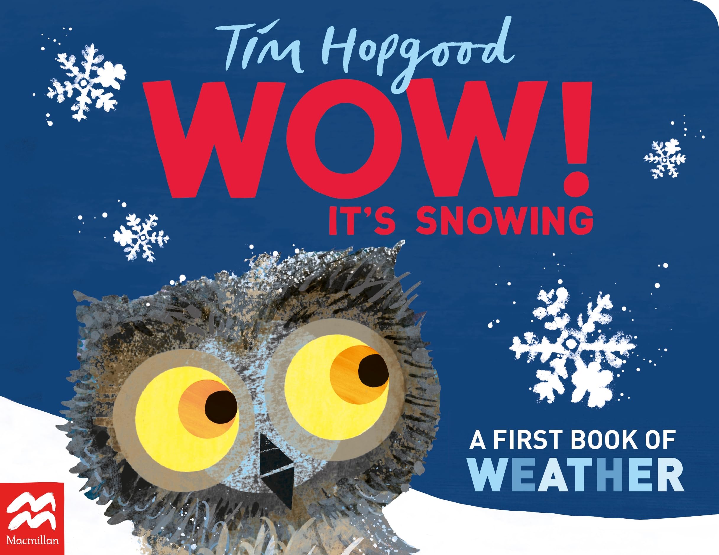 WOW! It's Snowing A First Book of Weather by Tim Hopgood (Board book)