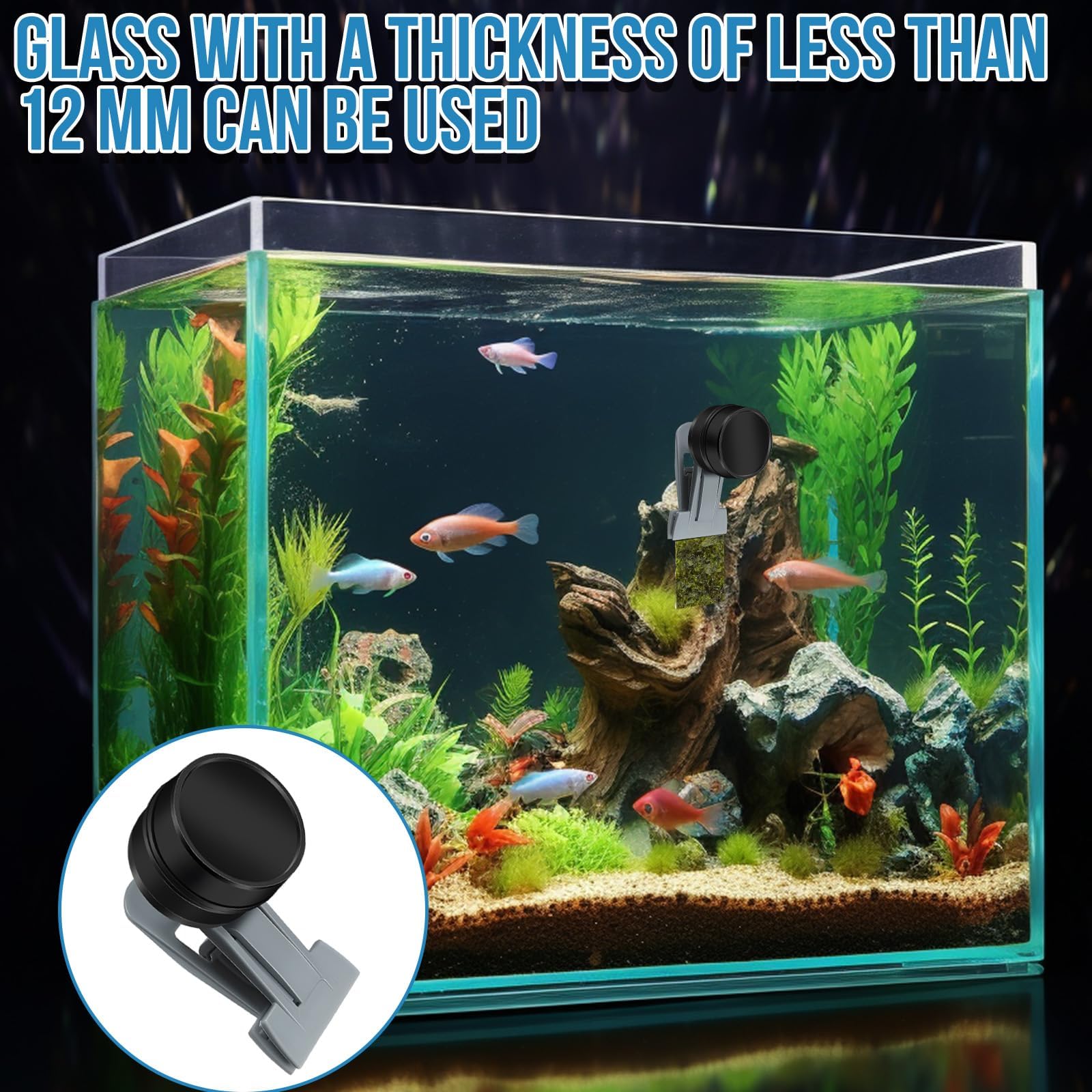 2 comederos para Peces de Colores, Accesorios para acuarios de Agua Salada, imán para Algas, Clips magnéticos para acuarios, Anillo de alimentación para peceras, Apto para Mascotas acuáticas