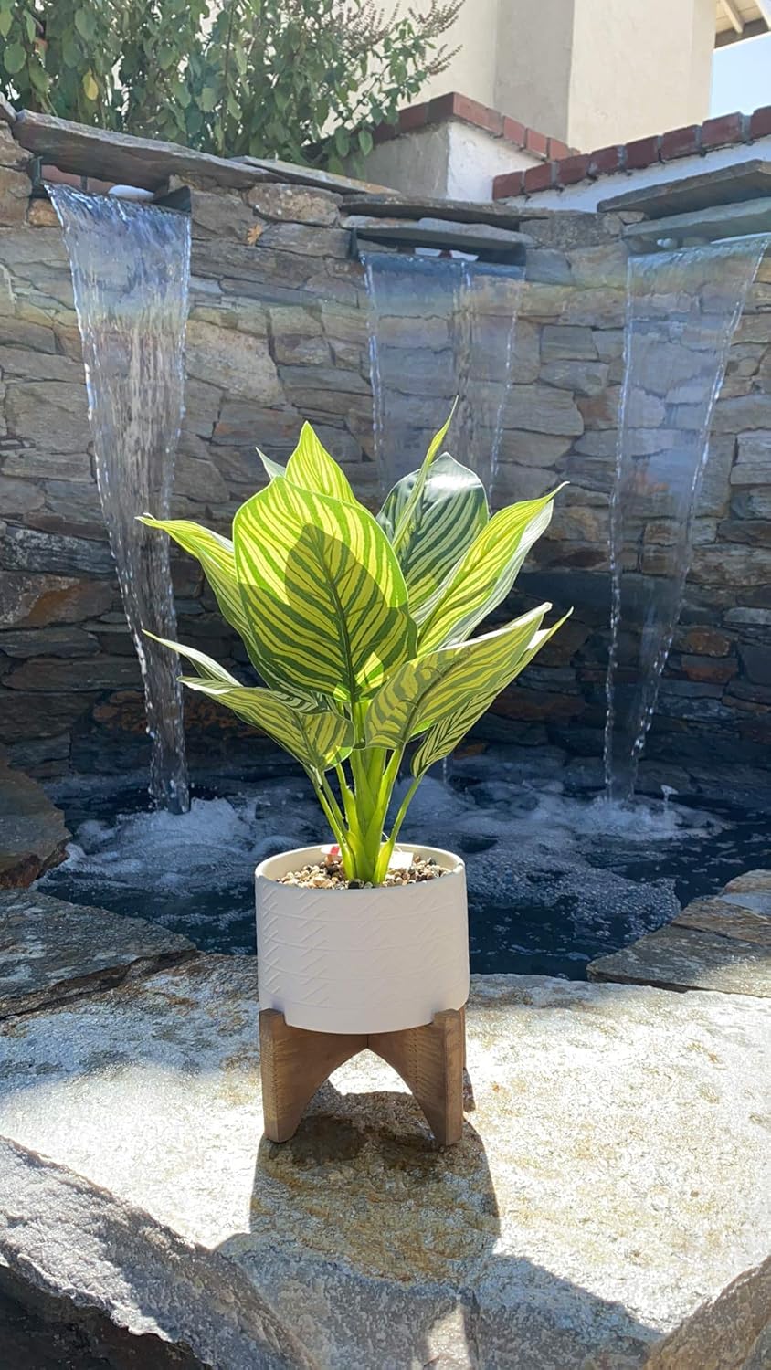 Flora Bunda Mid-Century 5 Inch Wavy Ceramic Planter on Wood Stand,Matte White Wavy 5"