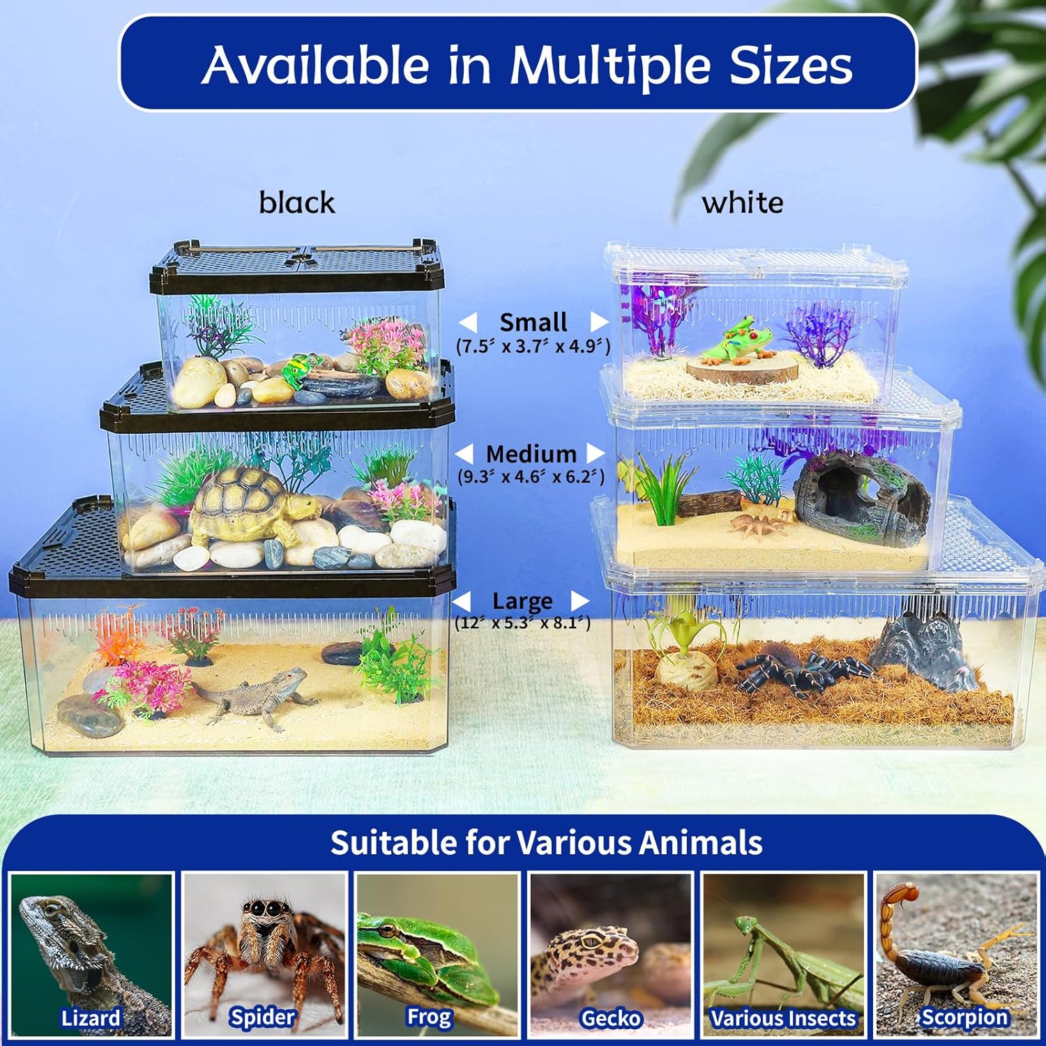 High-Transparency Reptile & Insect Enclosure Terrarium with Magnetic Door, Excellent Ventilation, Easy Cleaning, and Strong, Long-Lasting Build for Cricket,Frog,Gecko, Tarantula, Hermit Crab(Black,12)