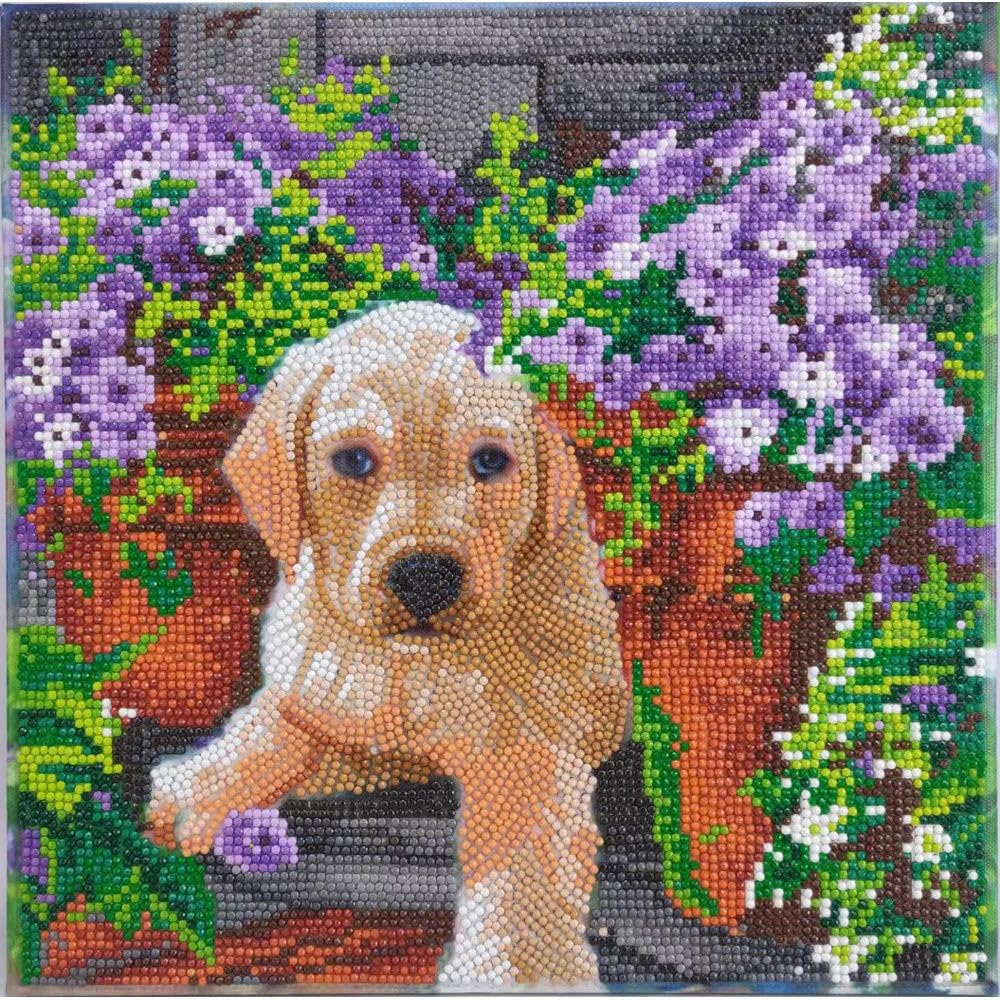 Crystal Art Medium Framed Kit (11.8in x 11.8in) - Floral Pup - Diamond Painting Kit for Ages 8 and Up