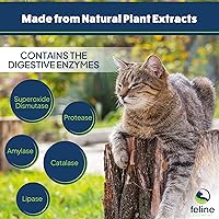 Vista 4 de Feline Essential Catalyst - Fórmula enzimática antioxidante para gatos - Enzima digestiva para gatos - Enzimas digestivas para gatos - Soporte