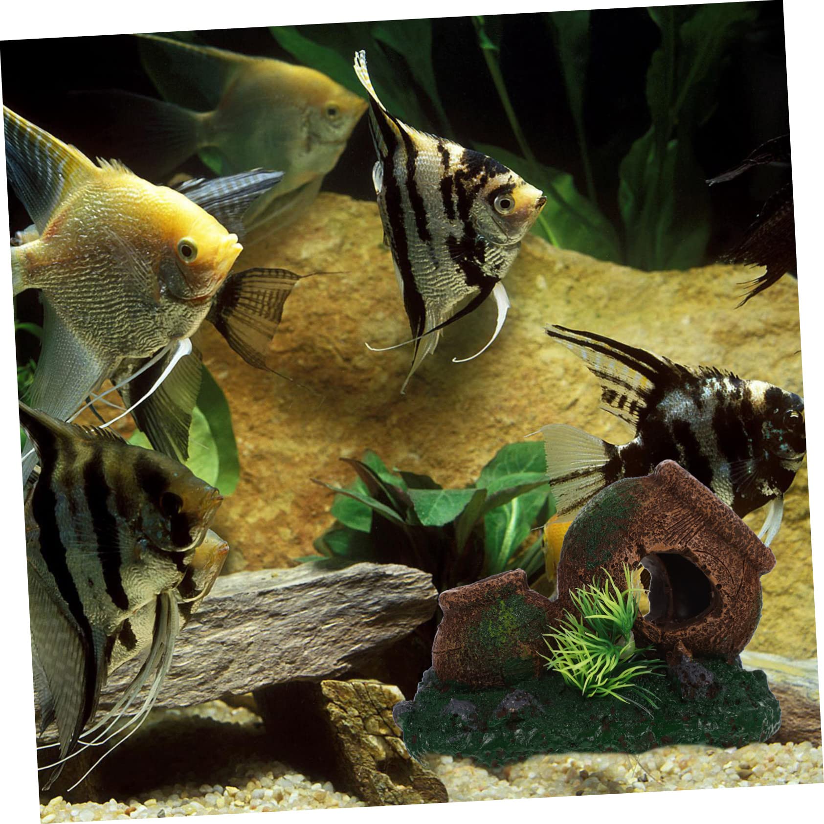 Sosoport 3 Piezas criadero de camarones Cueva del Tanque de Peces Cueva de escondite de camarones acuarios Aquarium Cueva de desove de camarones escondite de camarones de Acuario Resina