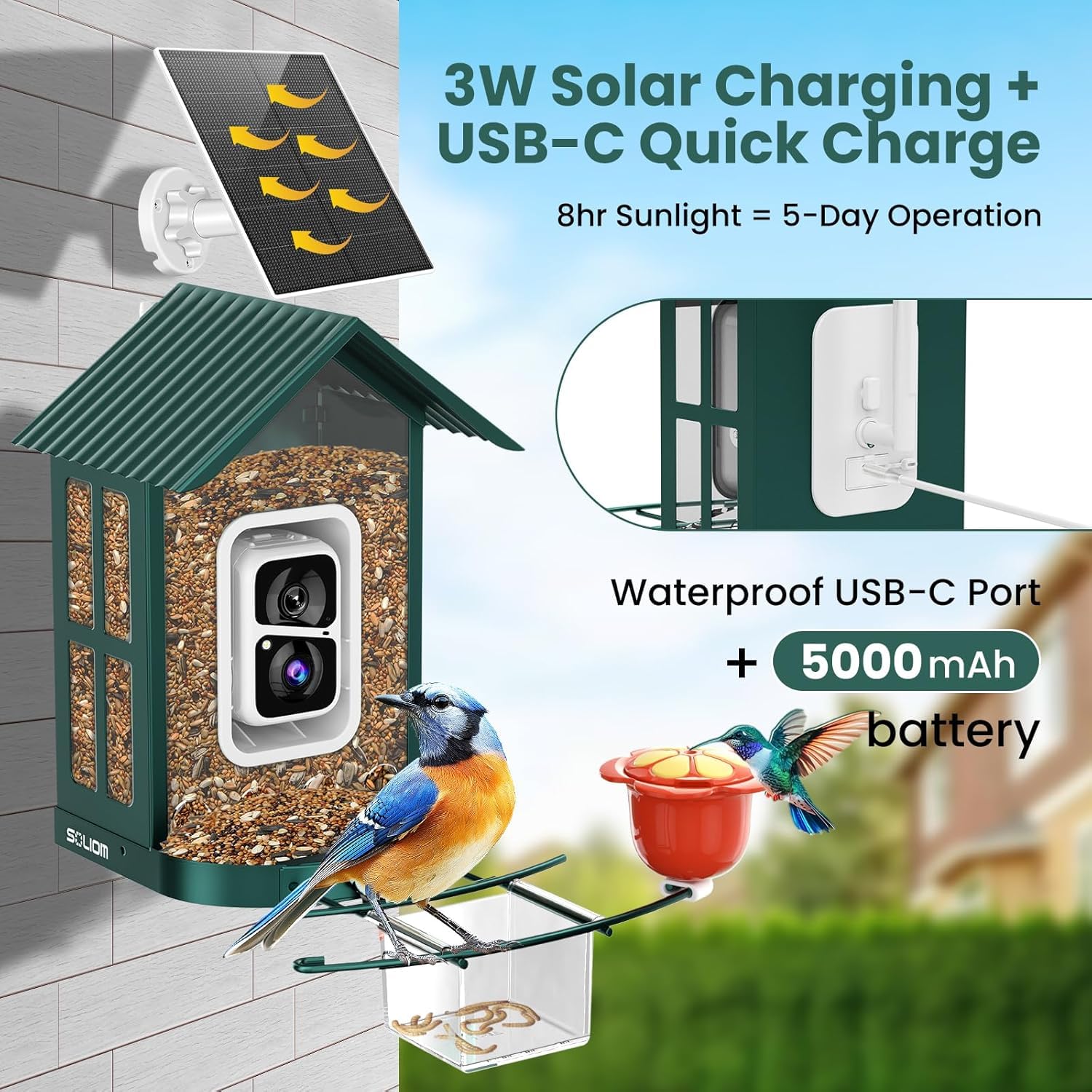 SOLIOM BF08 - Cámara inteligente alimentadora de pájaros con AI Identify Especies de aves, leva de observación de aves silvestres, vista en vivo, notificaciones instantáneas, panel solar de 5 W,