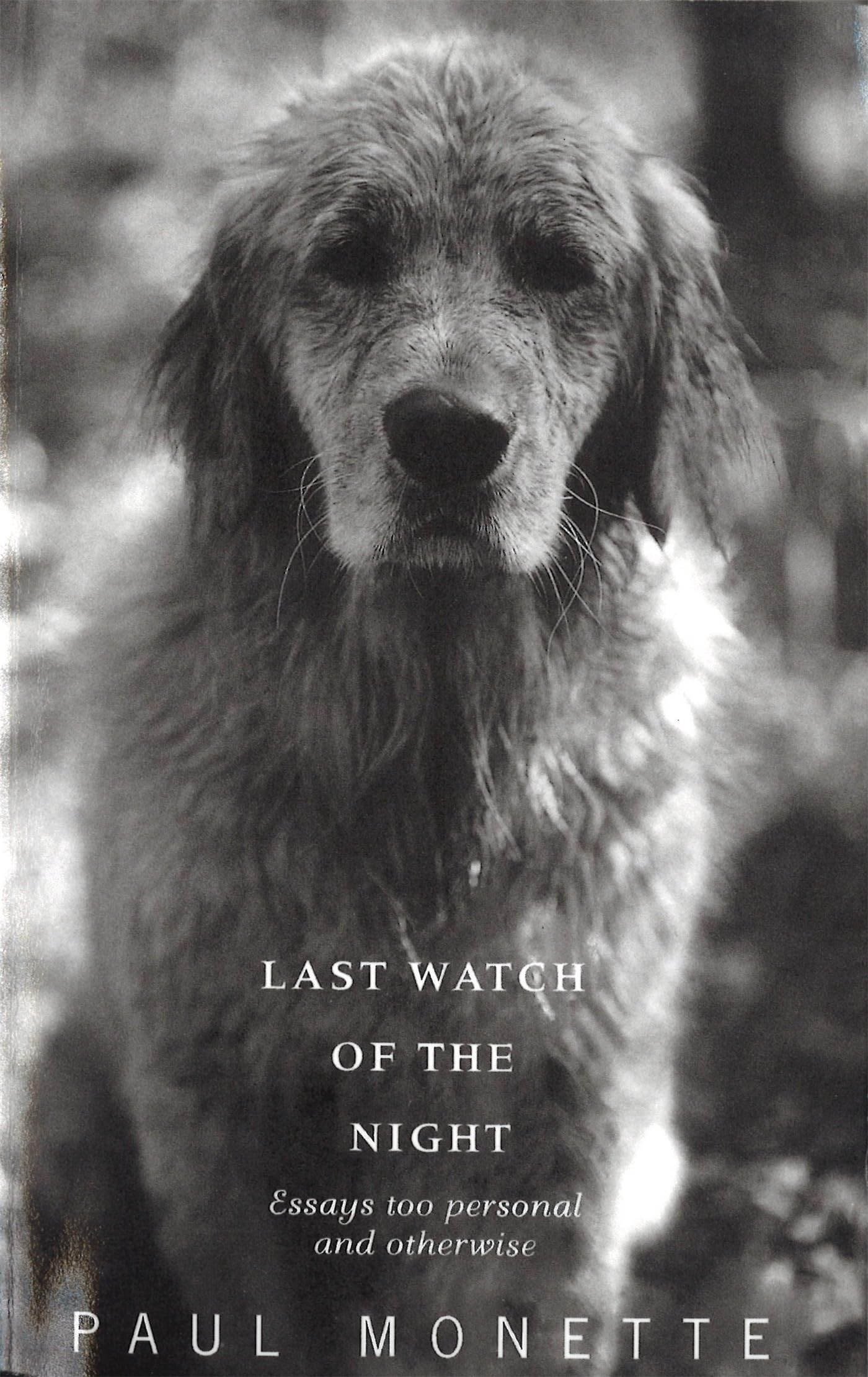 Last Watch Of The Night by Paul Monette - 9780349106373