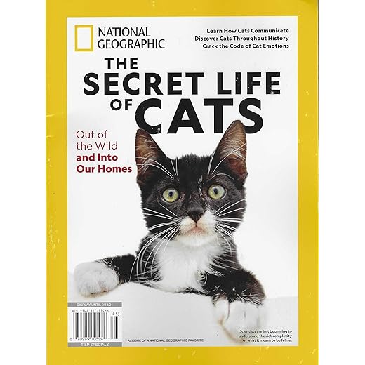 National Geographic: The Secret Life of Cats 2024