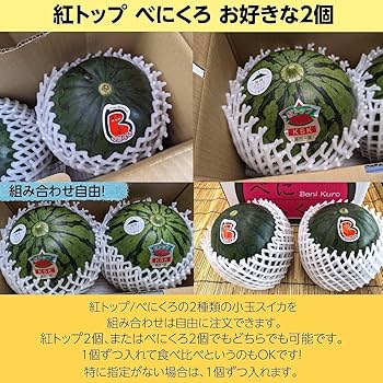 スイカ様 リクエスト 2点 まとめ商品 スイカ様 リクエスト 2点 まとめ商品 - メルカリ