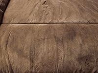 Review Image by Shiny Shiny