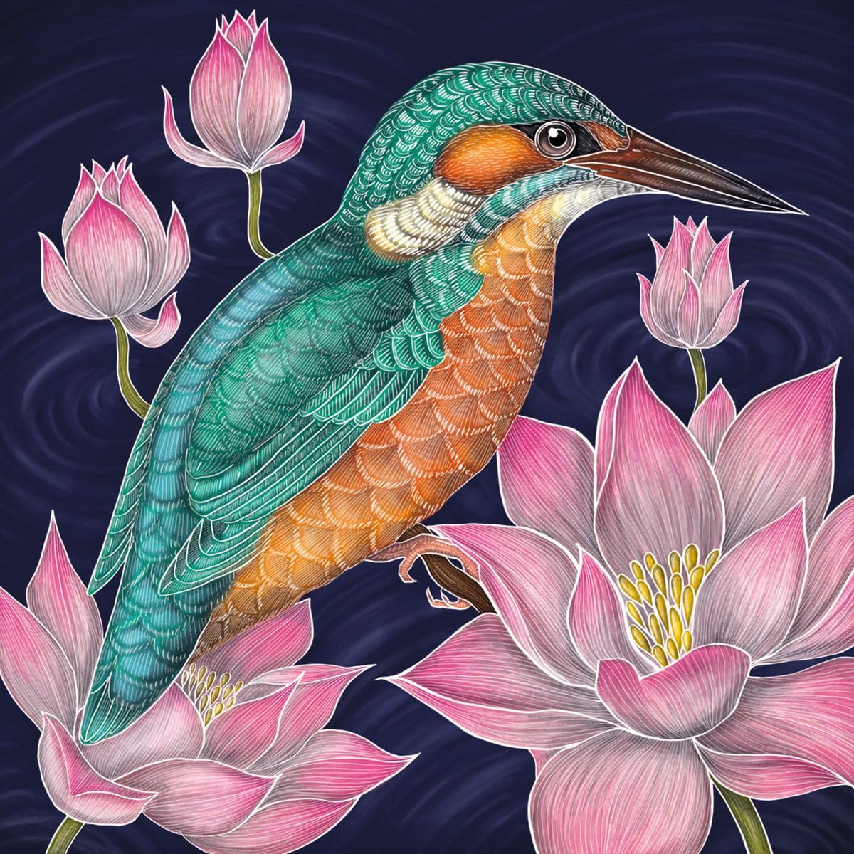 Museums & Galleries Blank Notecards Pack of 8 - Kingfisher by Catherine Rowe - Premium Greeting Cards Multipack with Envelopes