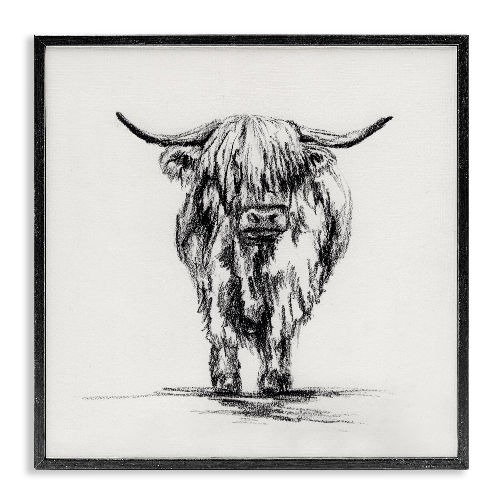 Stupell Industries 'Highland Cow in Charcoal', Framed Giclee Art, Black, 12 x 12 Inches, Easy to Hang and Sturdy, Made in USA, by Leah Noel Art