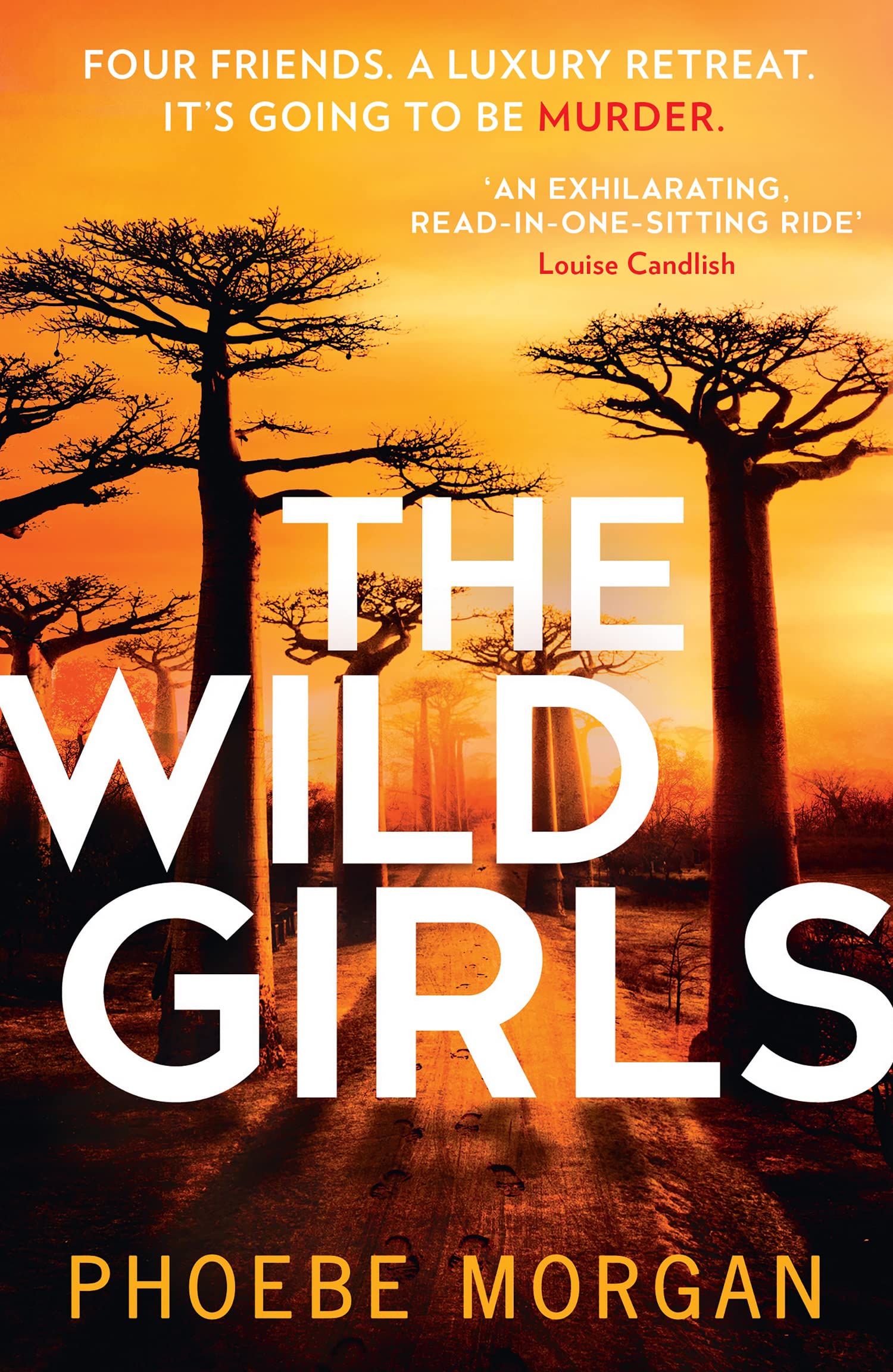 The Wild Girls: From the author of gripping books like The Babysitter comes the most exhilarating and escapist psychological crime thriller of 2021! Paperback – April 15, 2021
