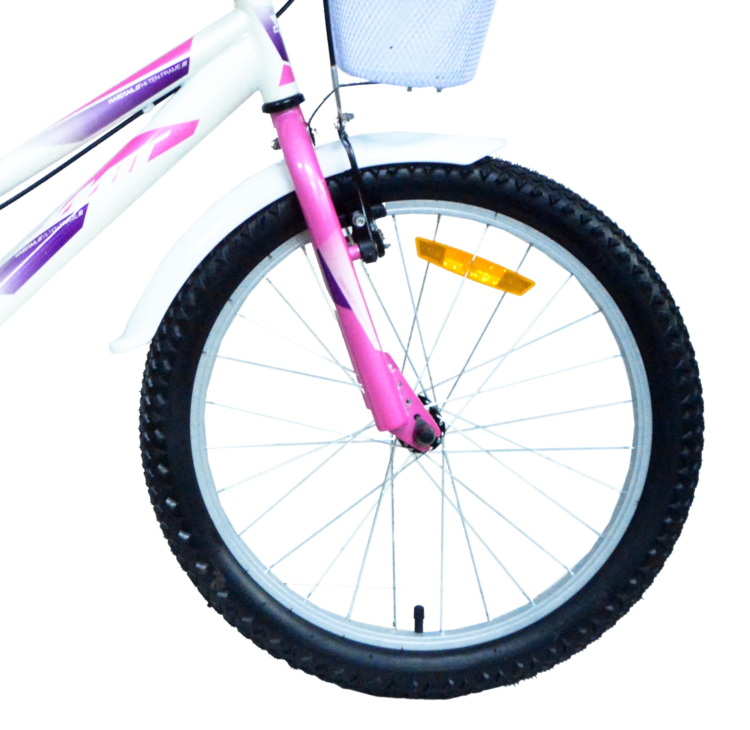 Bicicleta 20 Pulgadas niña | Bicicleta niña 6-9 años + Frenos V-Break + Estabilizadores + Cuadro Acero | Segura y Resistente