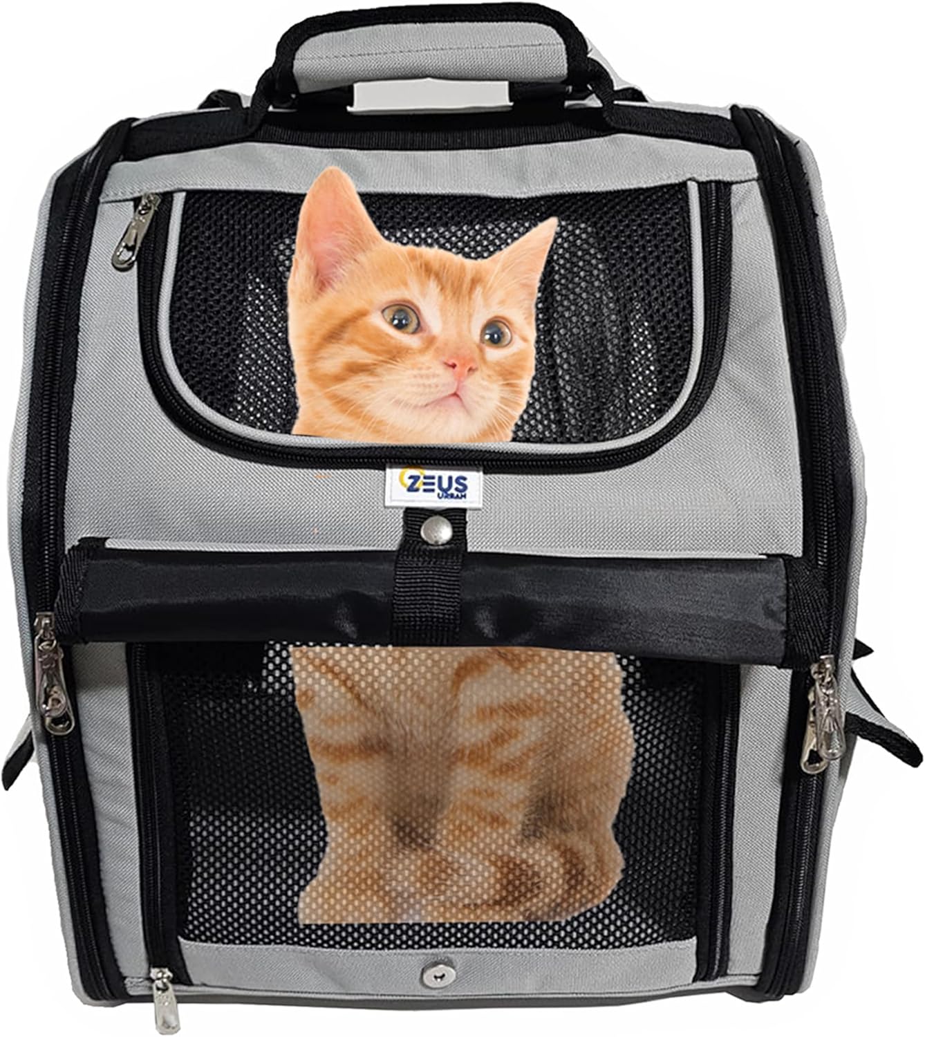 Travel in Style: The Ultimate Expandable Pet Backpack Carrier Review!