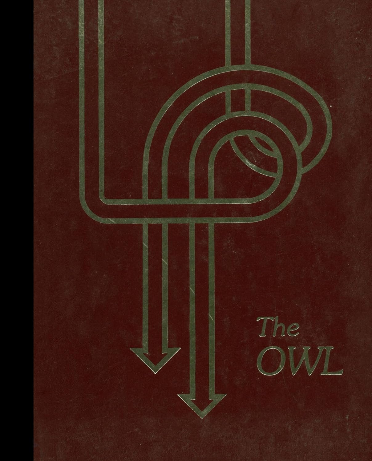 (Reprint) 1981 Yearbook Rustburg High School, Rustburg, Virginia