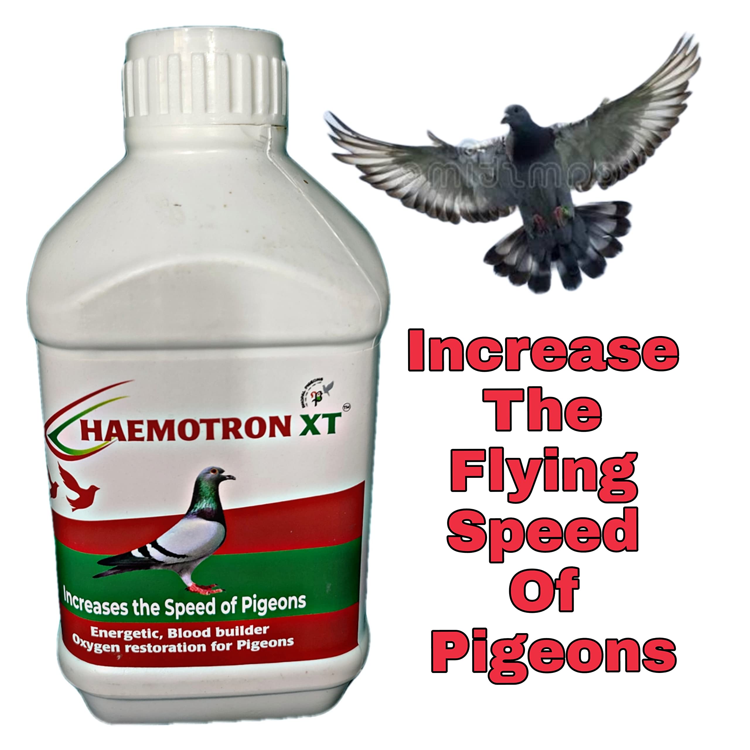 HAEMOTRON XT for PIGEONS HEALTH and VITALITY (B0C2DB329N) Amazon Price History, Amazon Price Tracker