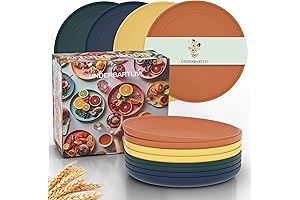 Unbreakable Dinner Plate Set by Yangrui: Reusable Plastic, 9 Inch, 150-Count