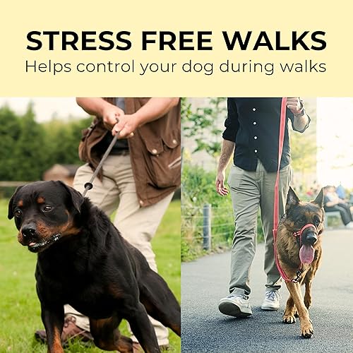 Miniatura 2 de Collar para la cabeza para perro con correa y correa de seguridad que detiene los tirones pesados de la cabeza reflectante acolchado para perros