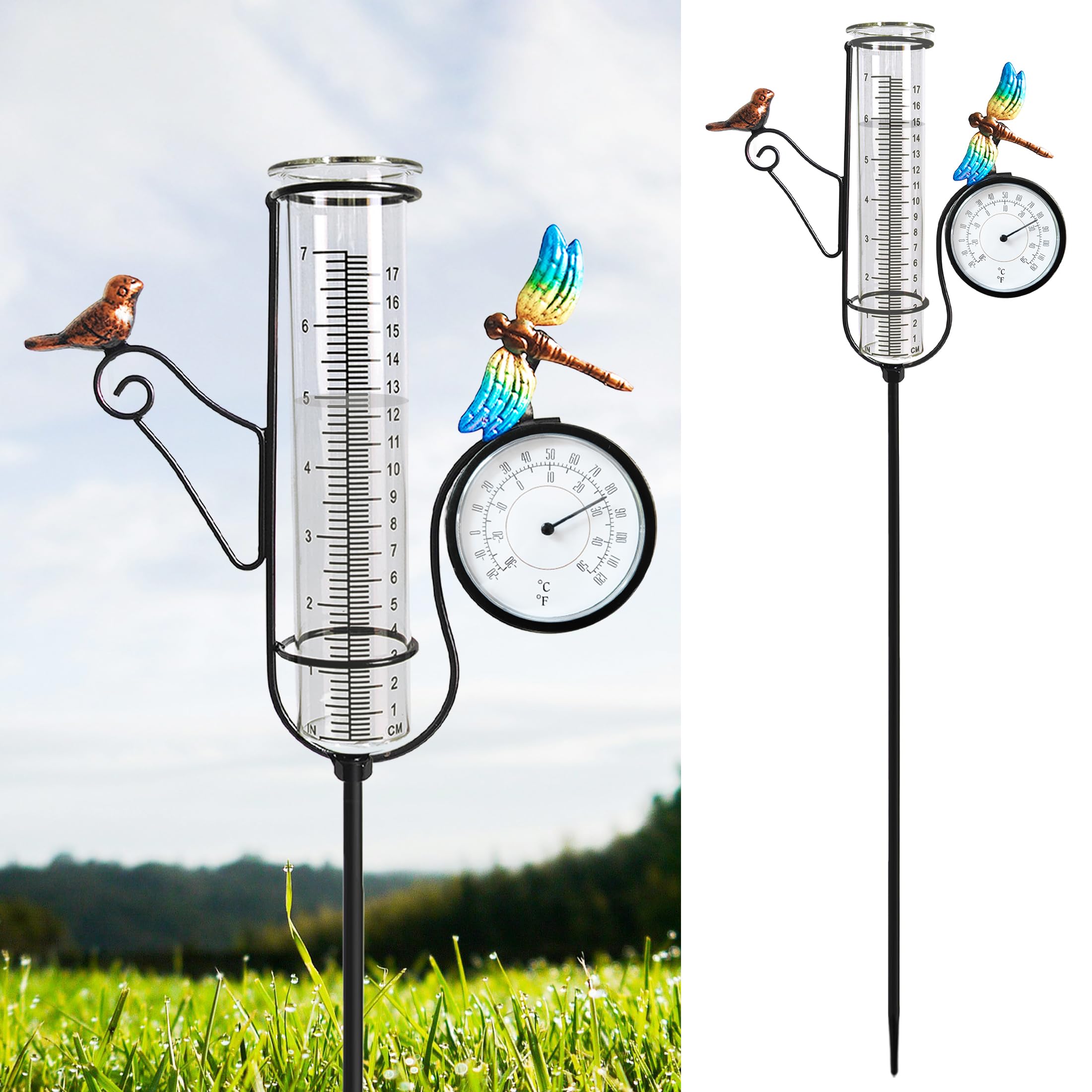Bird & Dragonfly Art - Medidor de Lluvia para Exteriores, con termómetro de Calibre de 27 Pulgadas, Marco de Metal, medidores precisos al Aire Libre, números Grandes, Adecuado para jardín