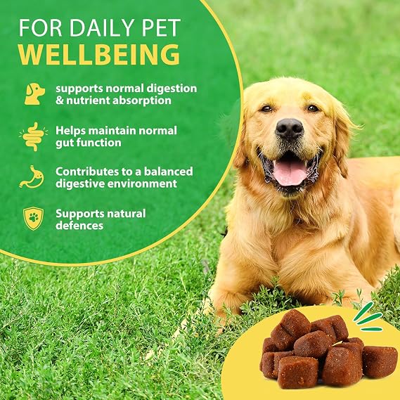 Probiotic Chews for Dogs – Daily Digestive Balance with Prebiotics & Natural Ingredients – Supports Gut Flora, Skin & Everyday Vitality – Duck Flavour (30 Soft Chews)