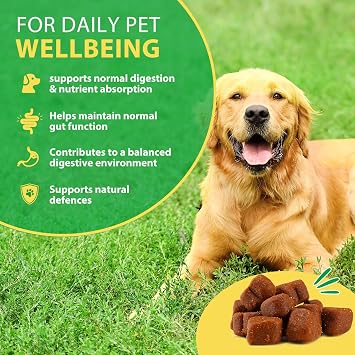 Probiotic Chews for Dogs – Daily Digestive Balance with Prebiotics & Natural Ingredients – Supports Gut Flora, Skin & Everyday Vitality – Duck Flavour (30 Soft Chews)