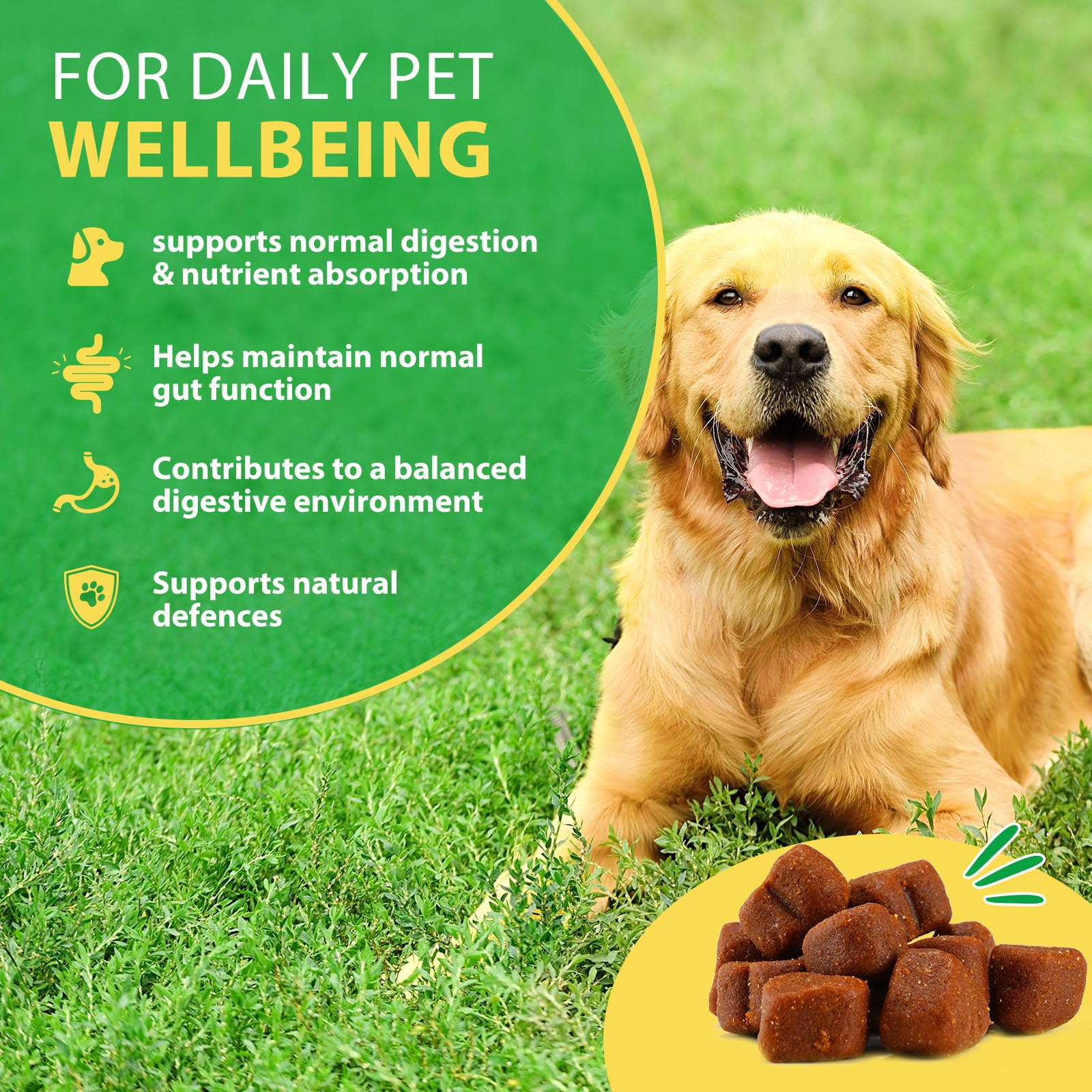 Probiotici per Cani con Enzimi Digestivi - 120 Pezzi Probiotico Digestivo per Cani, Flora Batterica e Sistema Immunitario | Contro Prurito, Allergie e Squilibrio dei Lieviti
