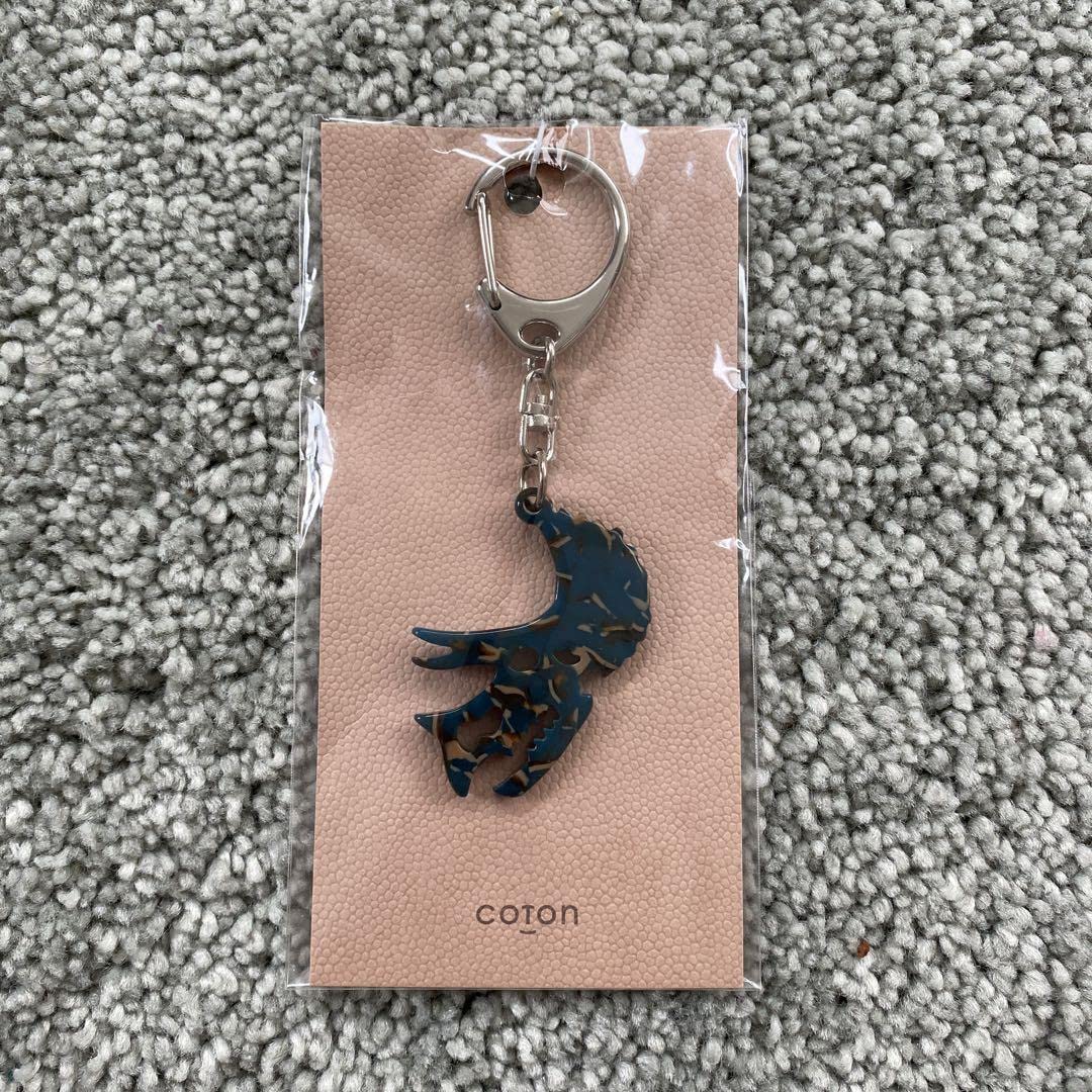 Amazon.co.jp: セルロースアセテート 恐竜キーホルダー 福井恐竜博物館